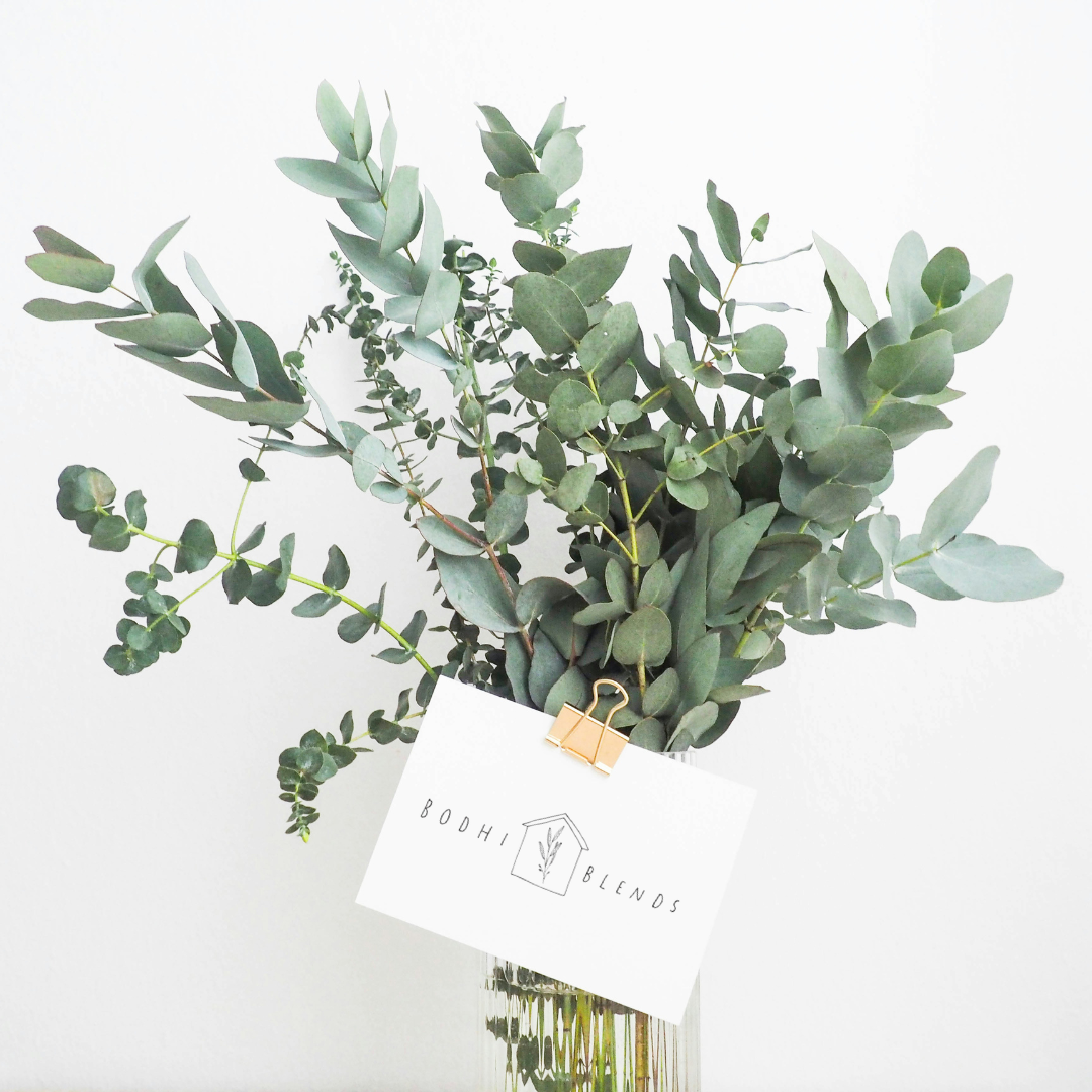 Gifted at RDS – Bodhi Blends
